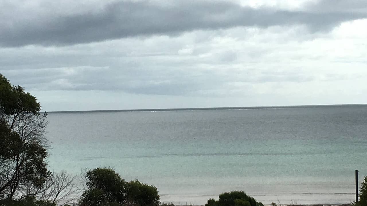 Photo of Others in Island Beach