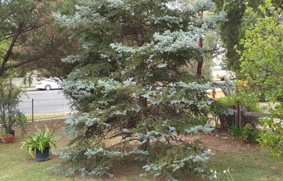 Photo of Outdoor in Coonabarabran