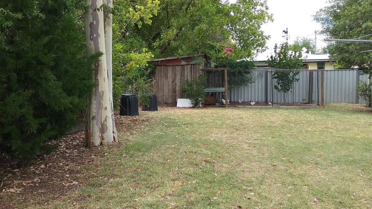 Photo of Outdoor in Coonabarabran