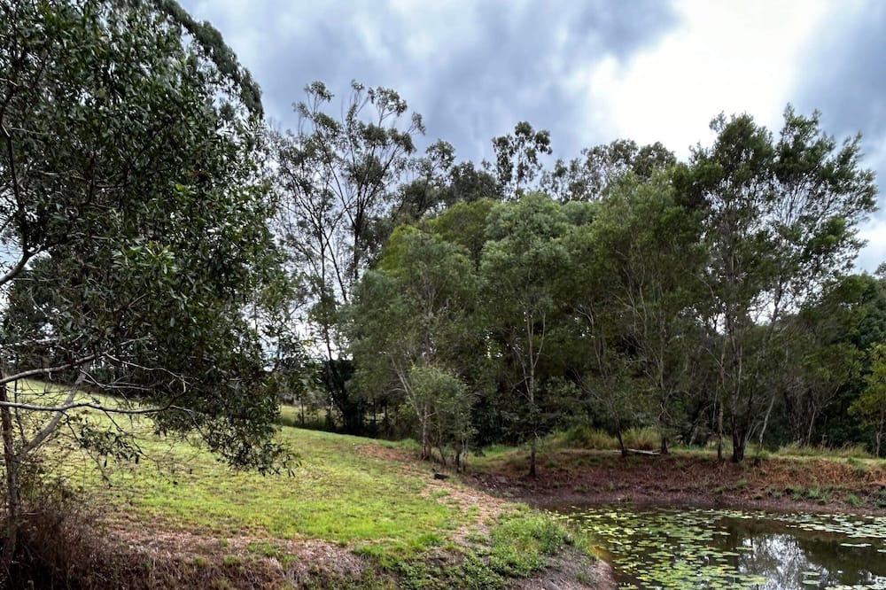 Photo of Outdoor in Ewingsdale