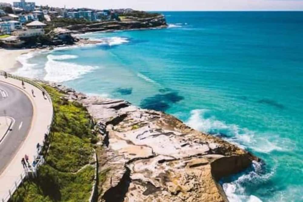 Photo of Others in Tamarama