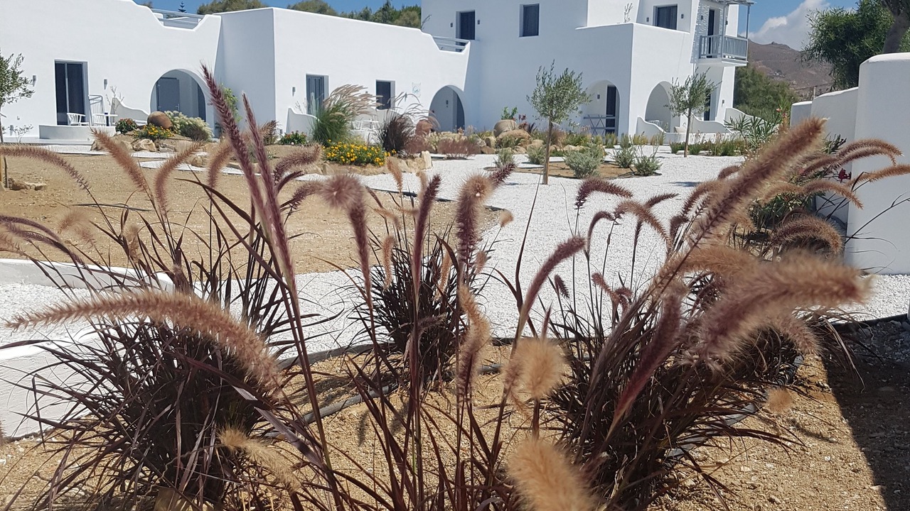 Photo of Outdoor in Naxos Town