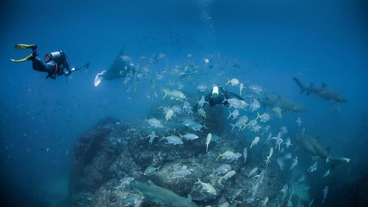 Photo of Others in Rainbow Beach