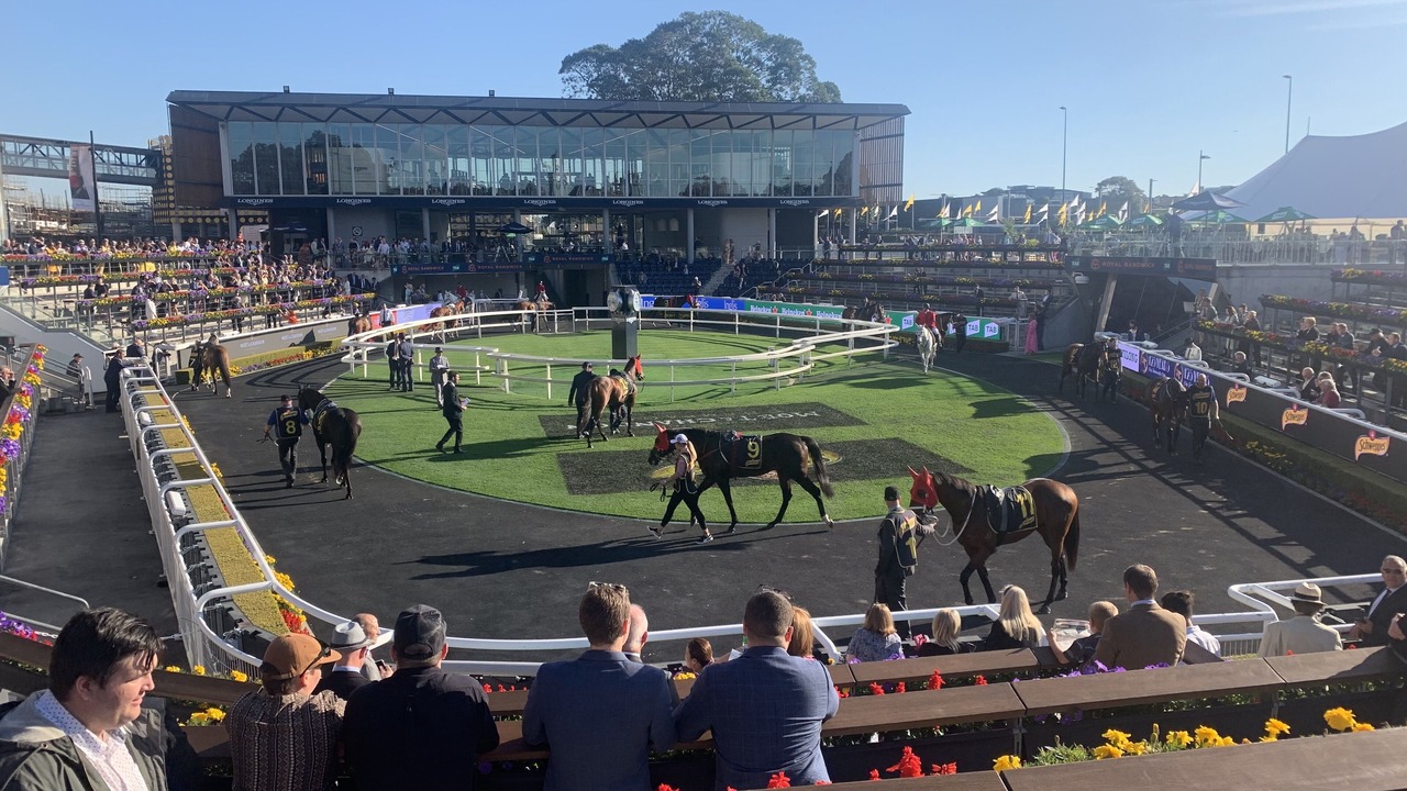 Photo of Others in Randwick
