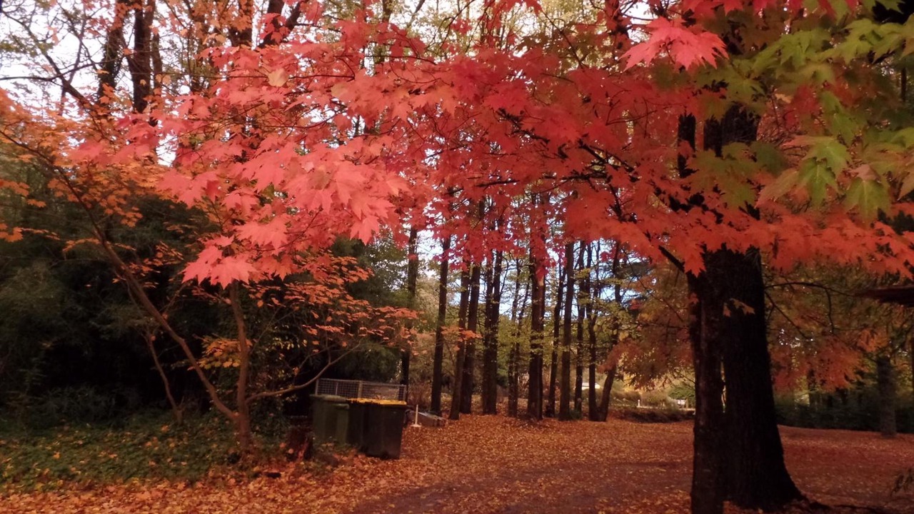 Photo of Outdoor in Porepunkah