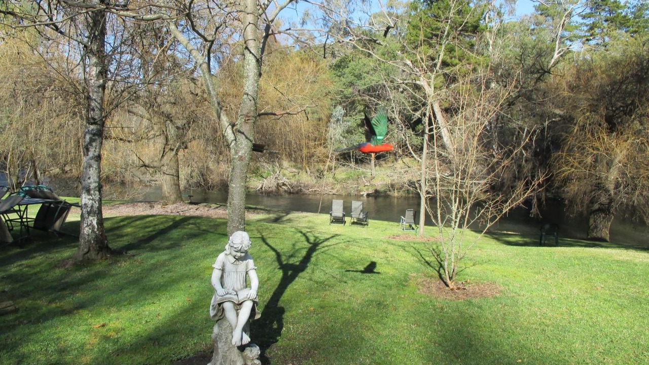 Photo of Outdoor in Porepunkah