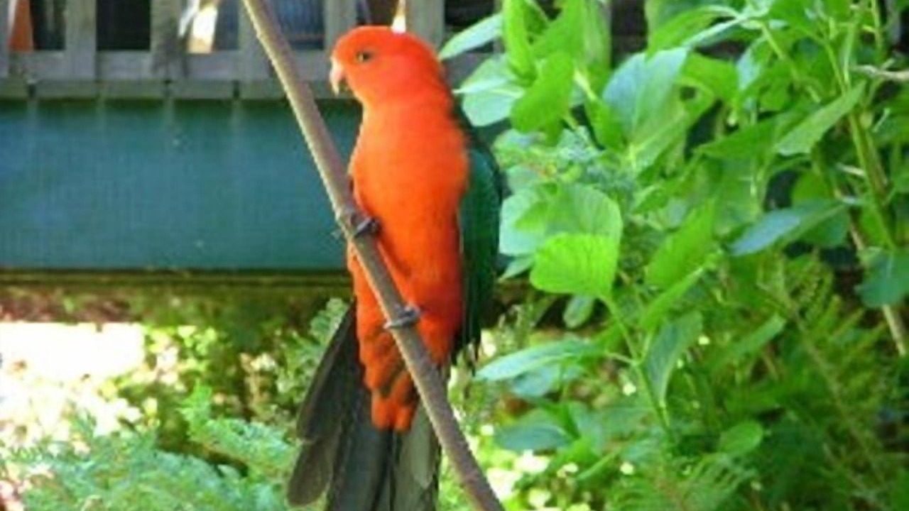 Photo of Outdoor in Porepunkah