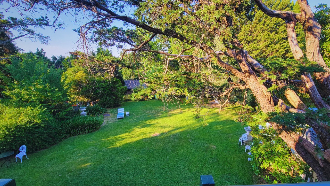 Photo of Outdoor in Leura