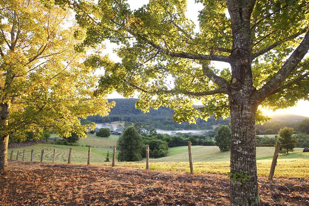 Photo of Outdoor in Possum Brush