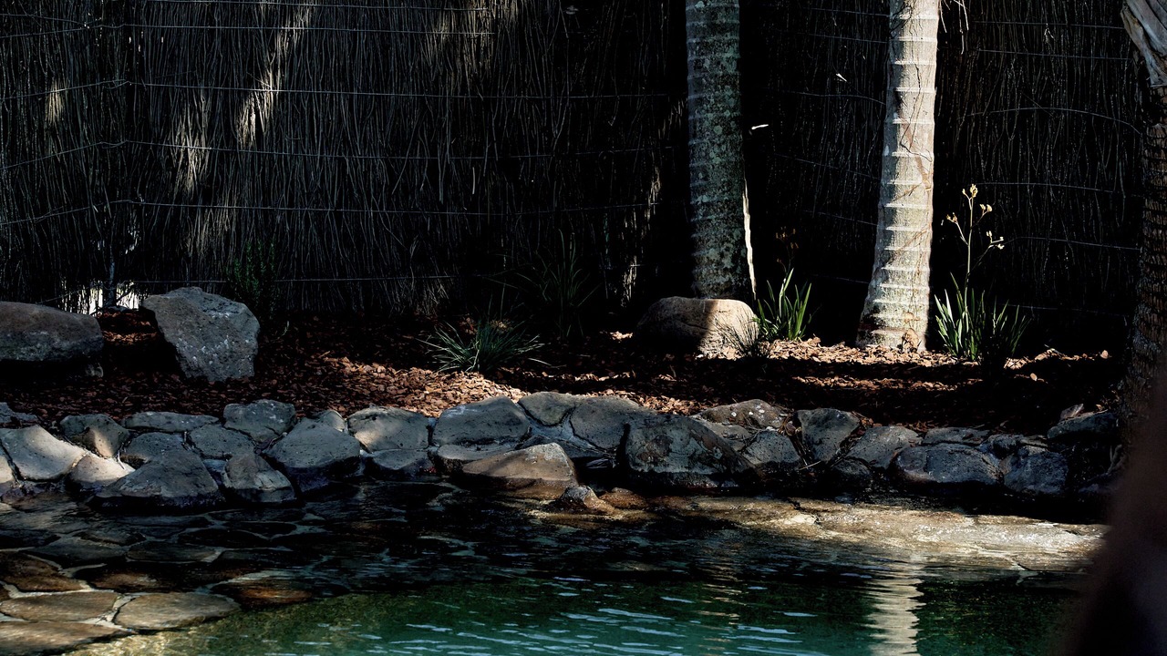 Photo of Outdoor in Brunswick Heads