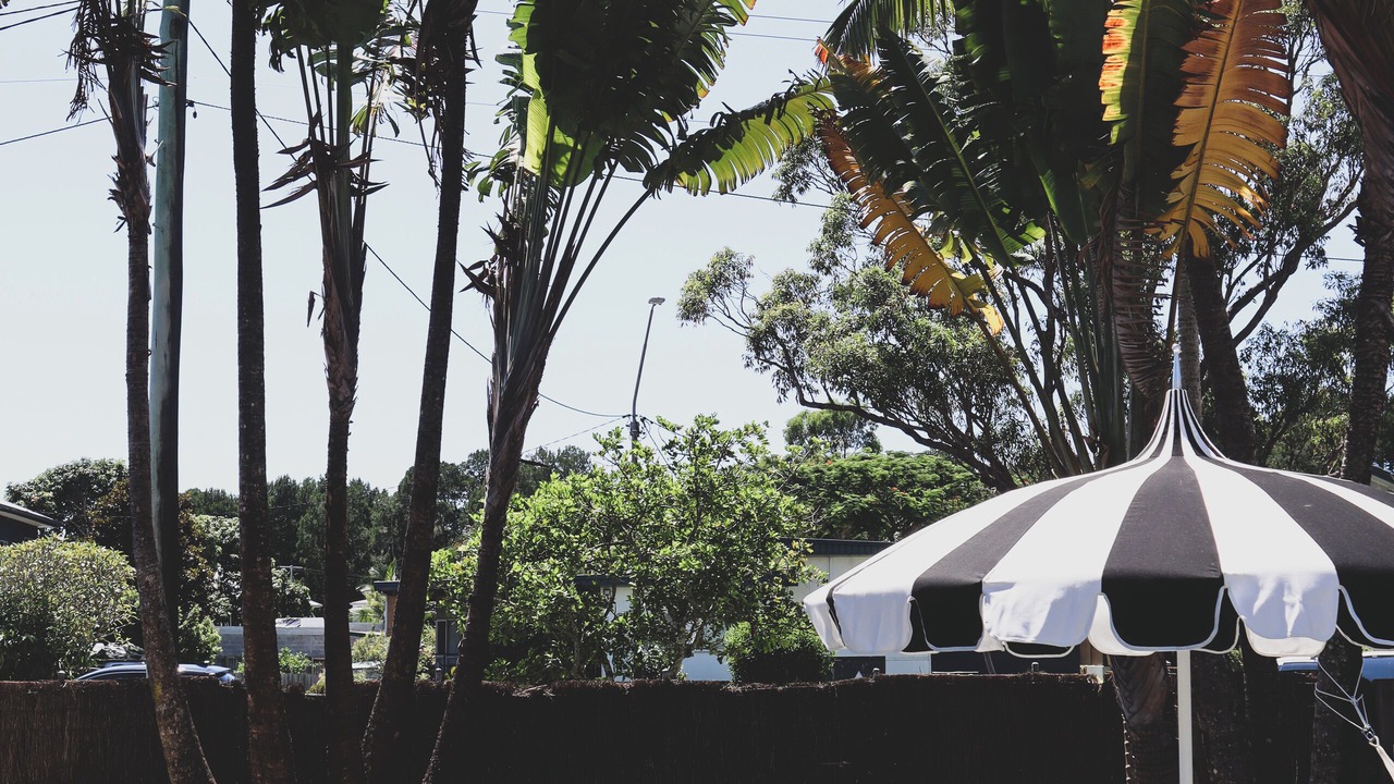 Photo of Outdoor in Brunswick Heads