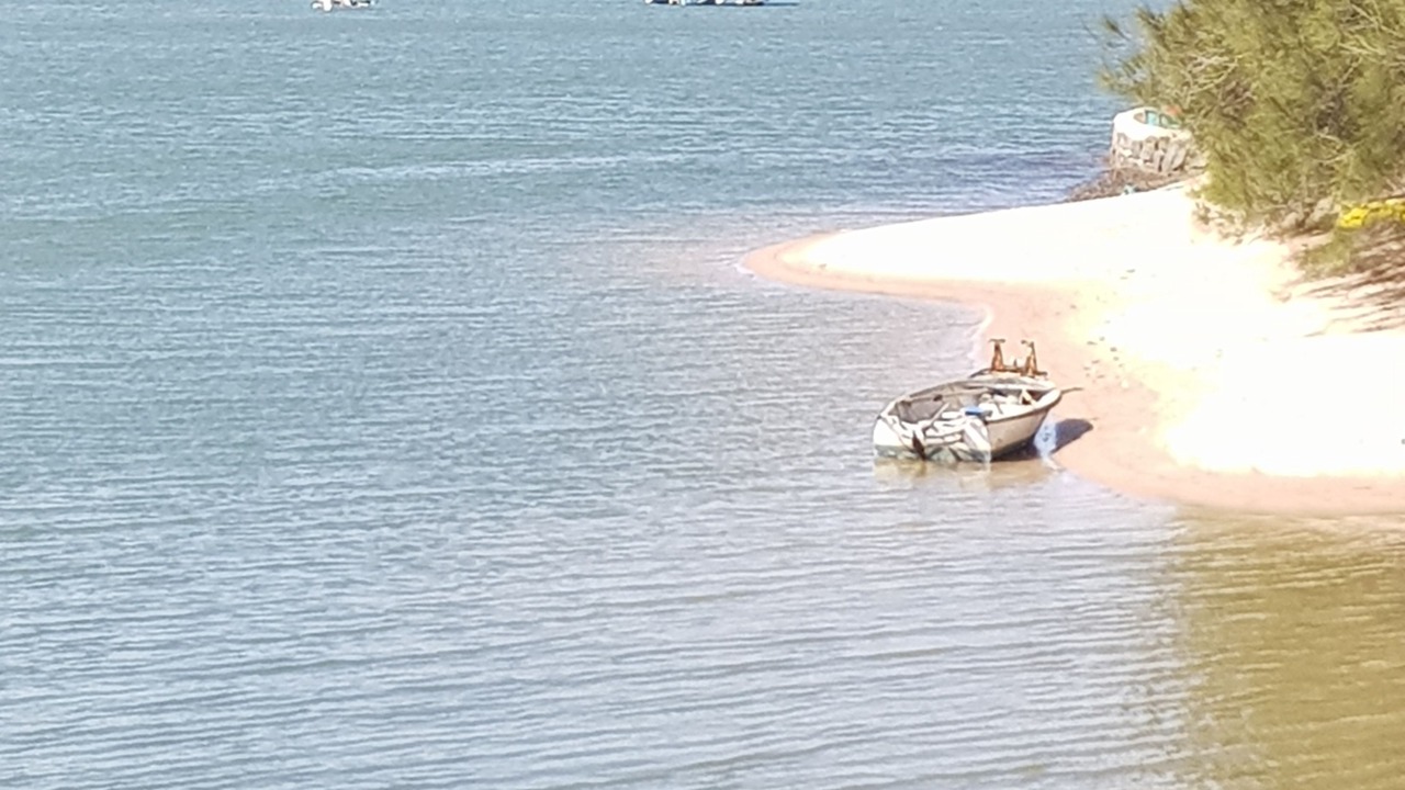 Photo of Others in Mooloolaba