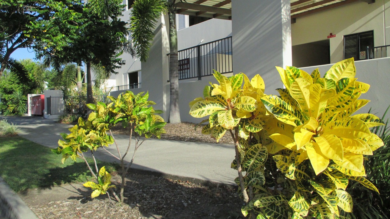 Photo of Outdoor in Cairns North