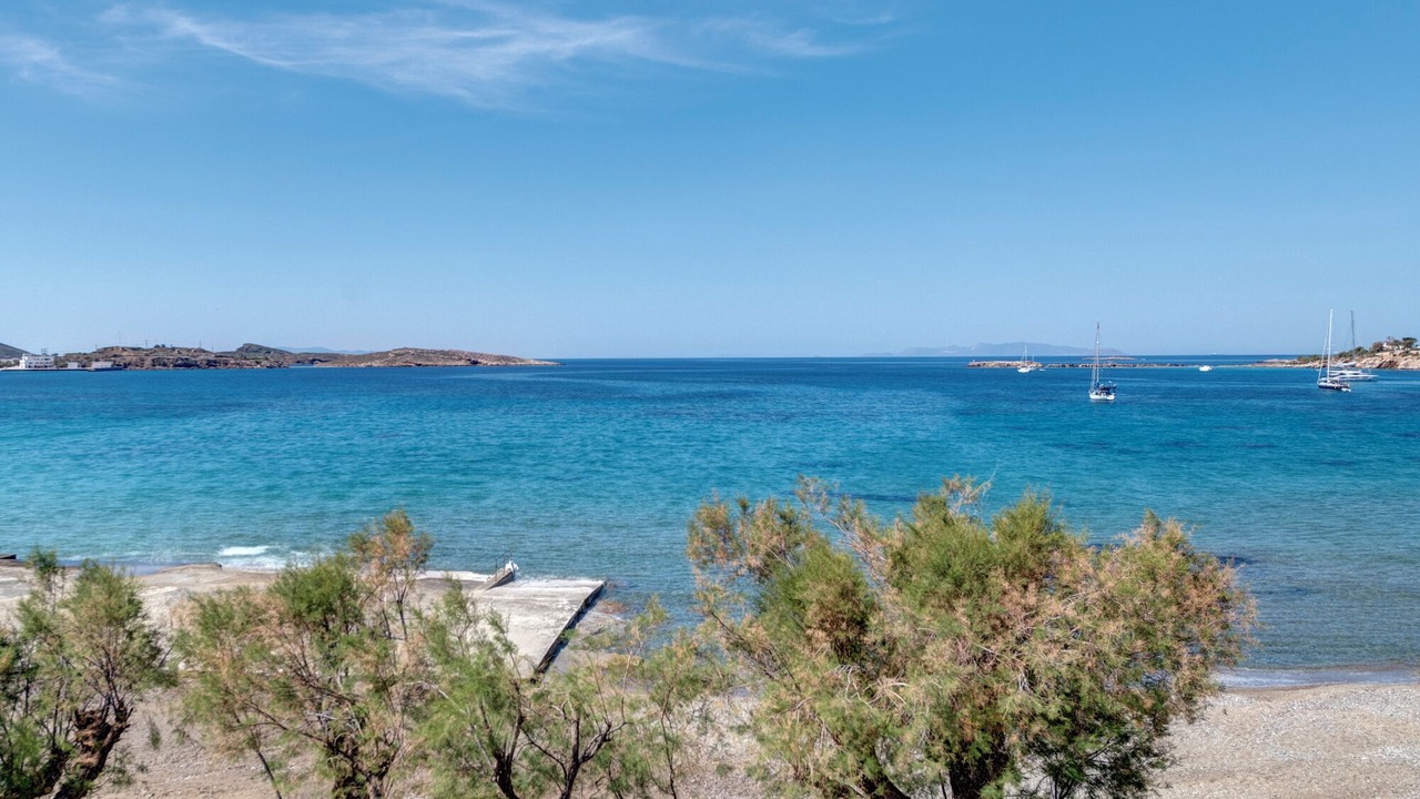 Photo of Others in Vissa