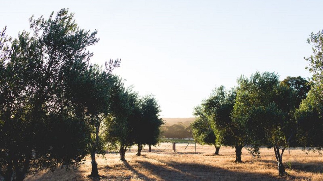Photo of Outdoor in Quedjinup