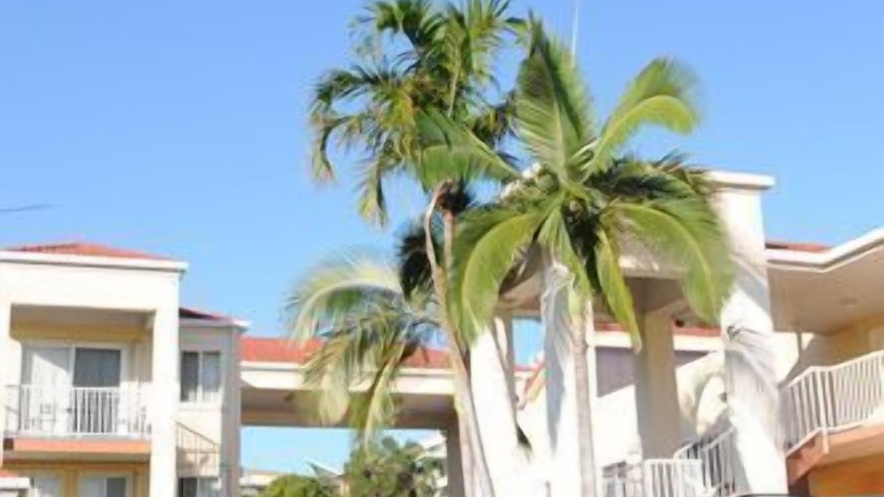 Photo of Outdoor in Gladstone