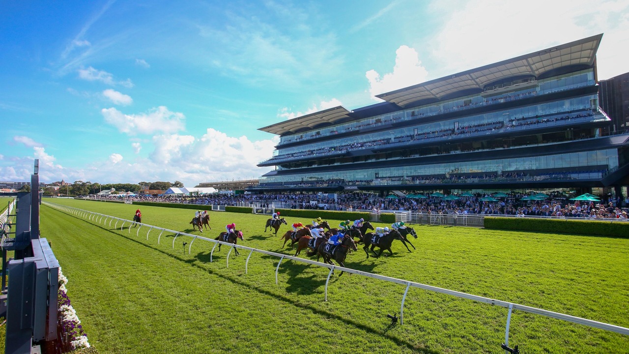 Photo of Others in Randwick