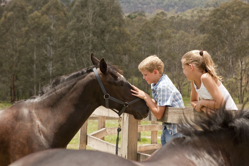 Photo of Others in Wolgan Valley