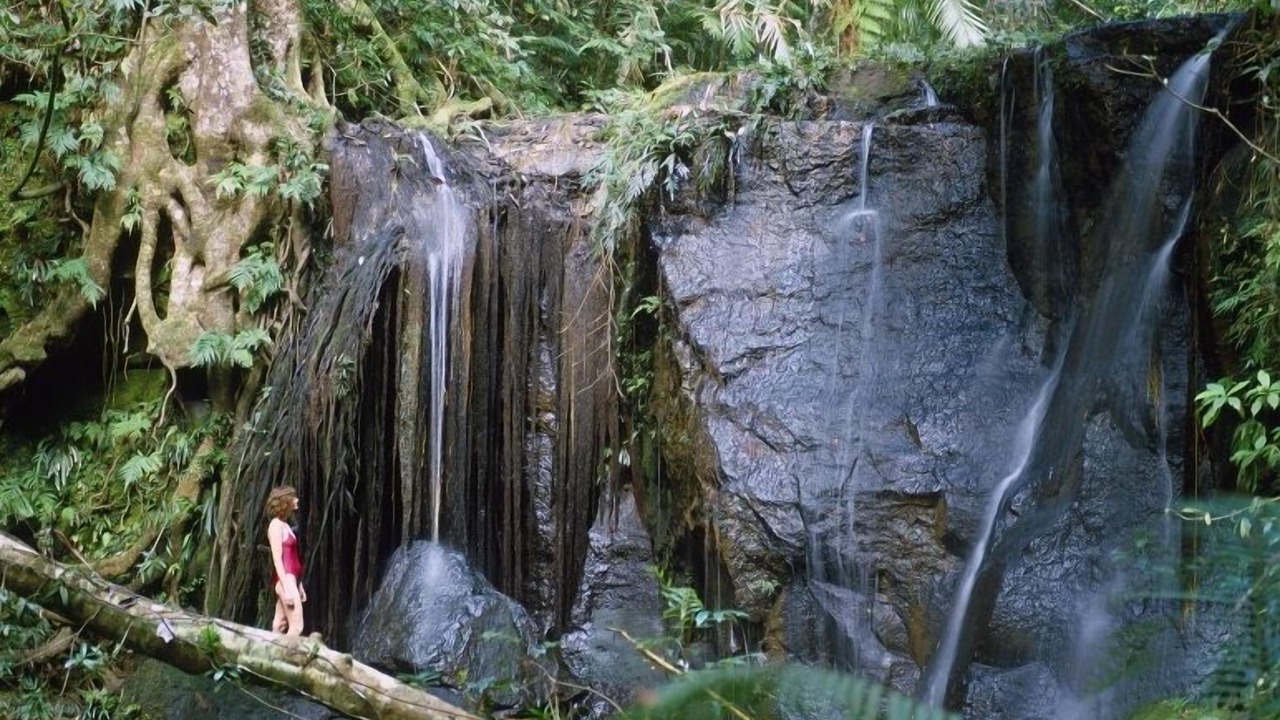 Photo of Outdoor in Lake Eacham