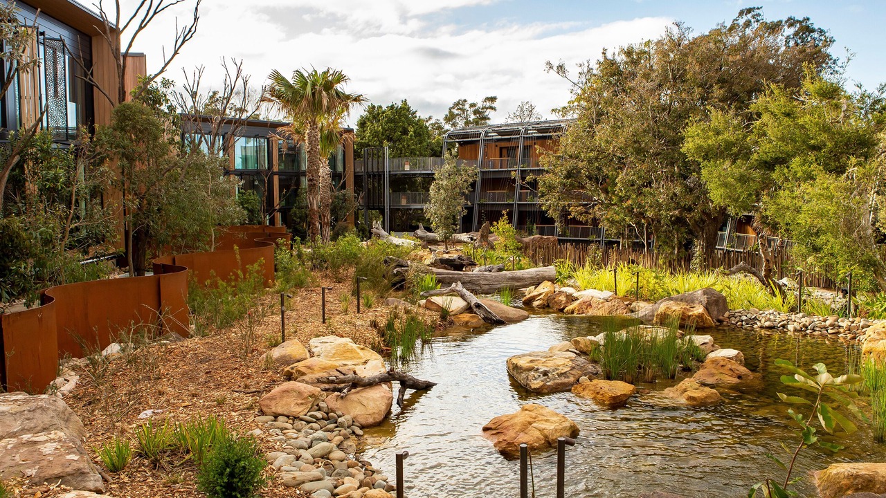 Photo of Outdoor in Mosman