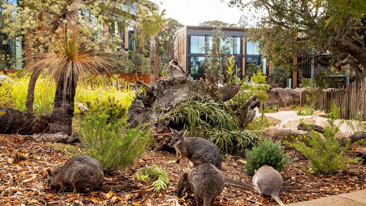 Photo of Others in Mosman