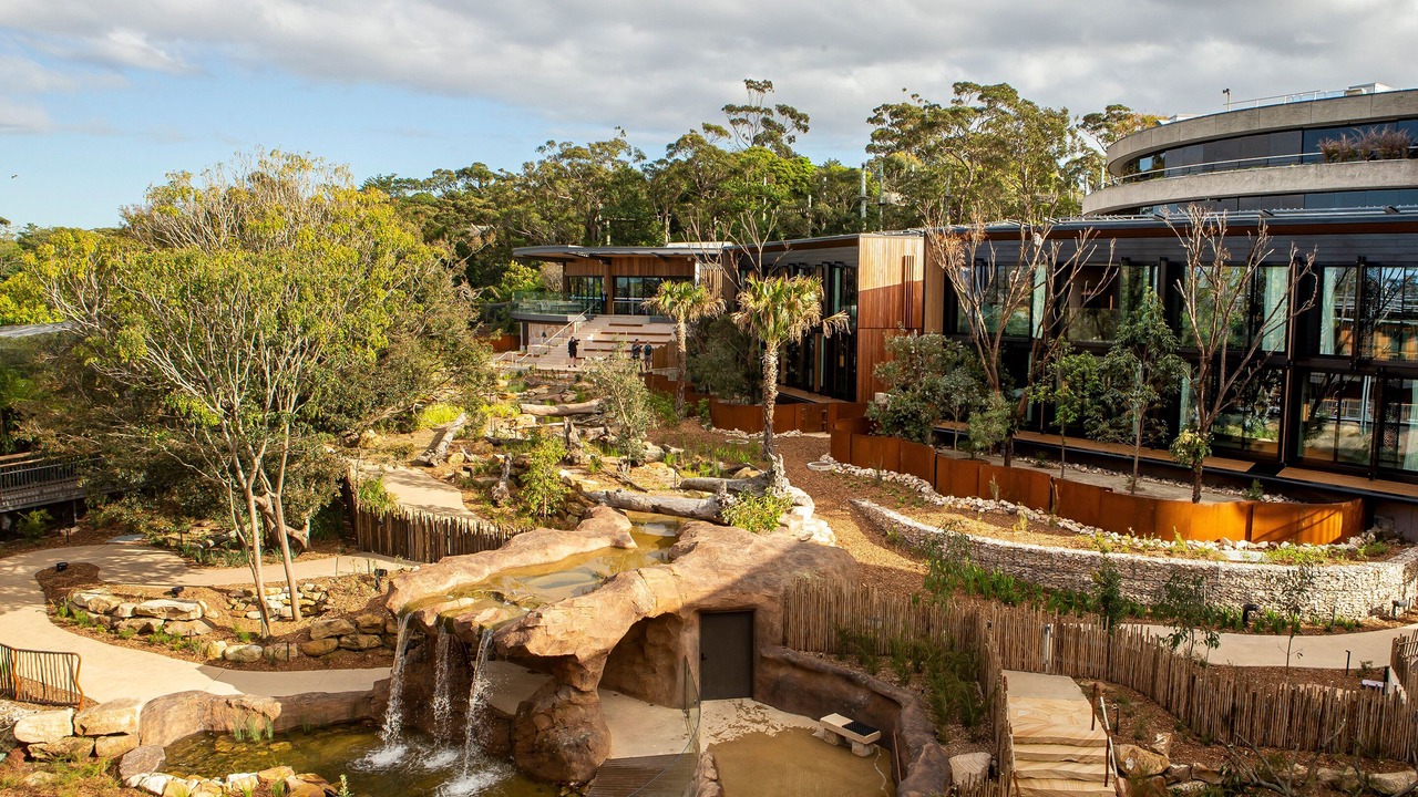 Photo of Outdoor in Mosman