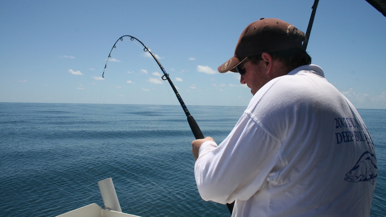 Photo of Others in Dundee Beach
