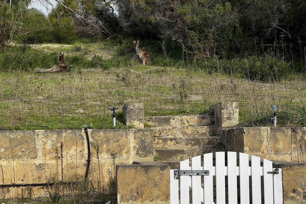 Photo of Outdoor in Preston Beach