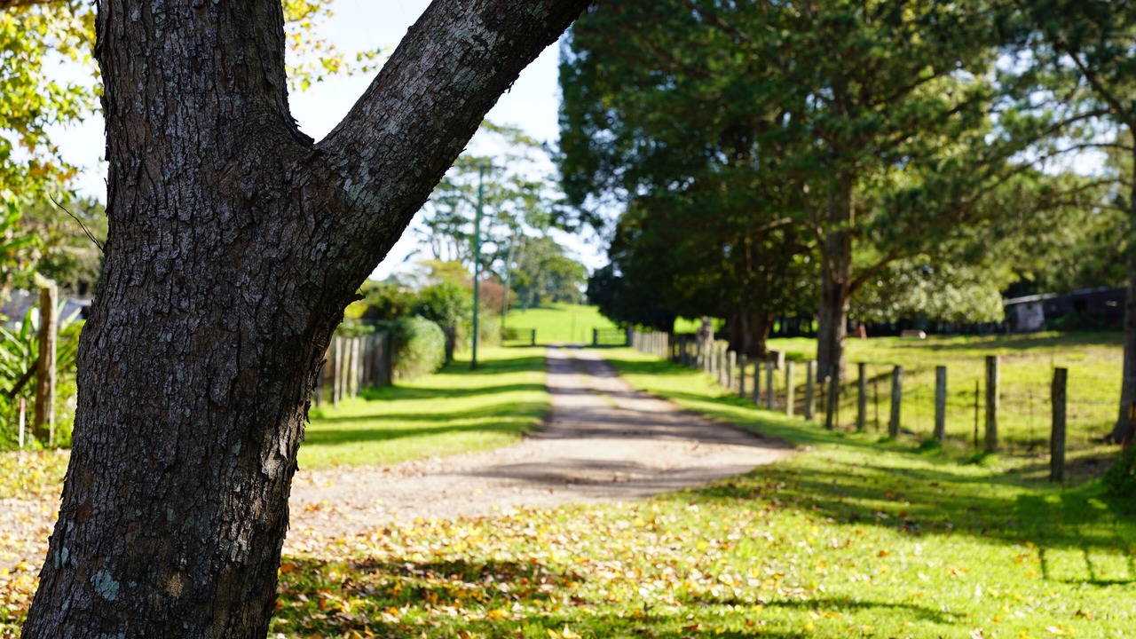 Photo of Others in Maleny