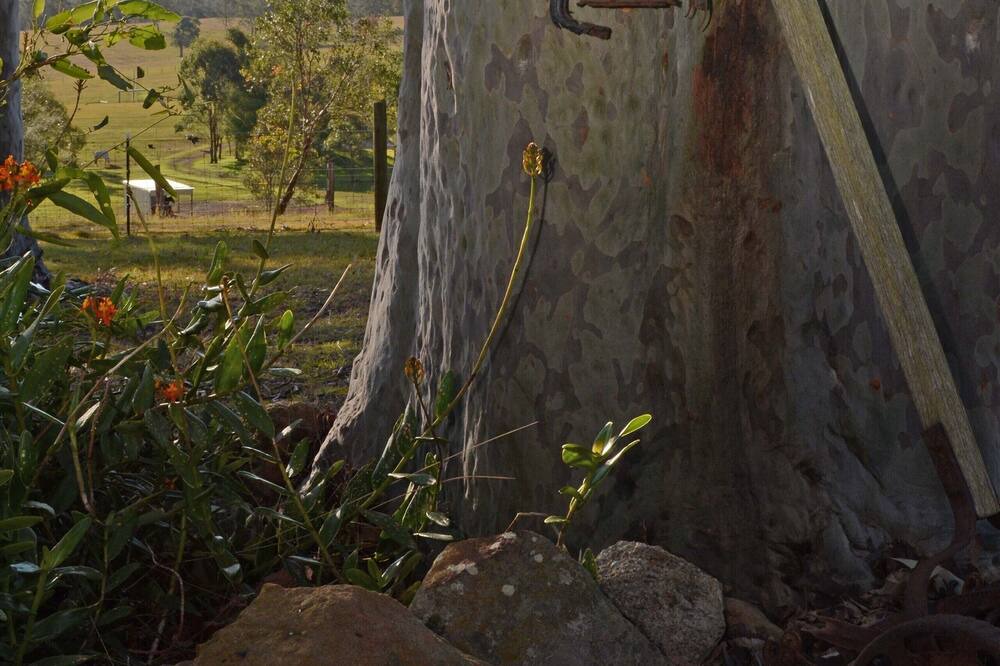 Photo of Others in Windella