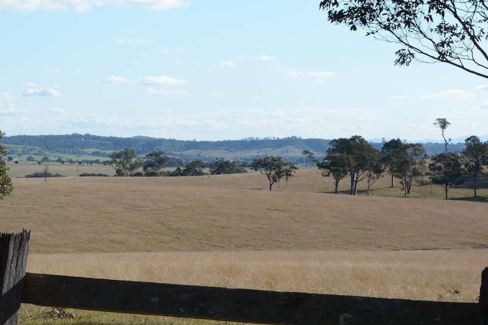 Photo of Others in Windella