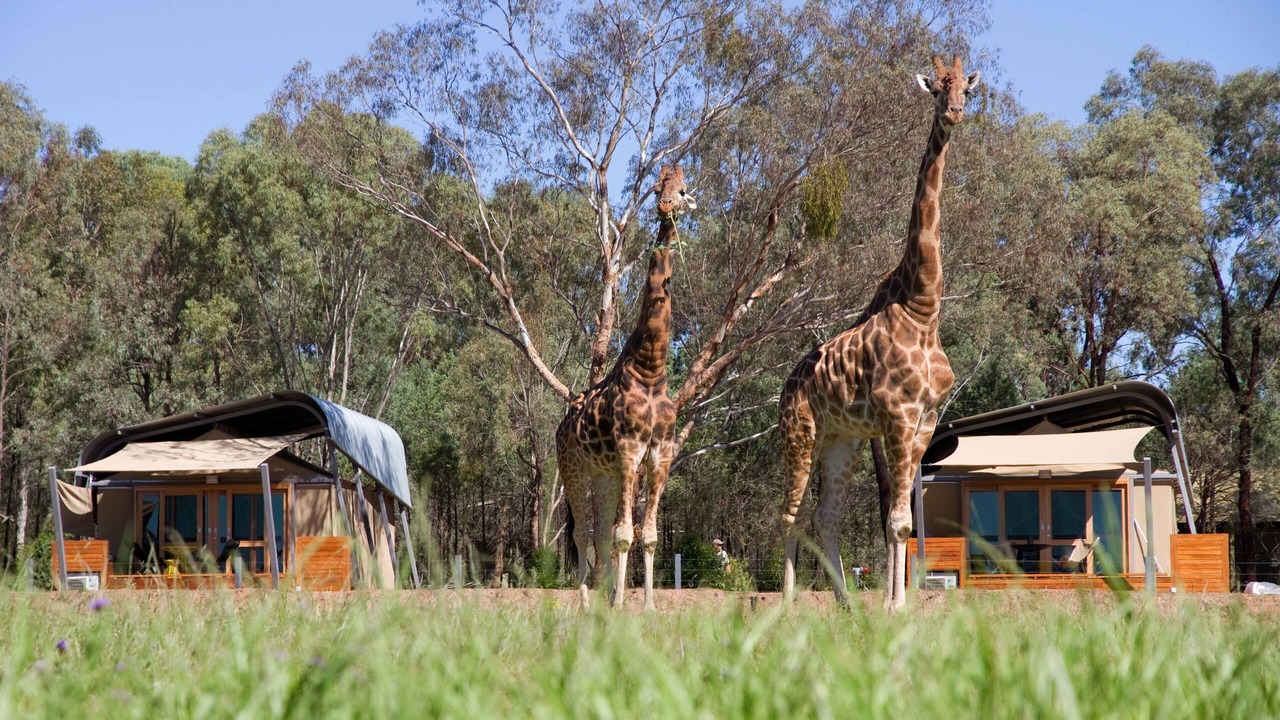 Photo of Outdoor in Dubbo