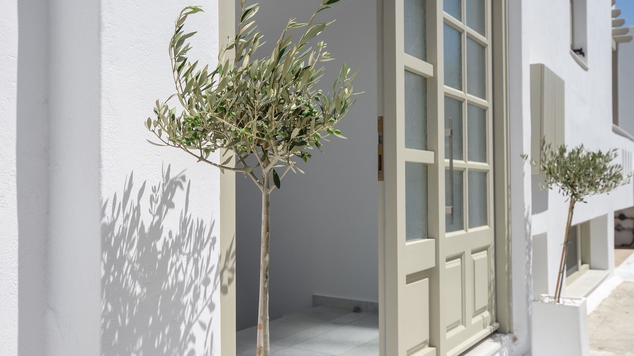 Photo of Outdoor in Agios Prokopios