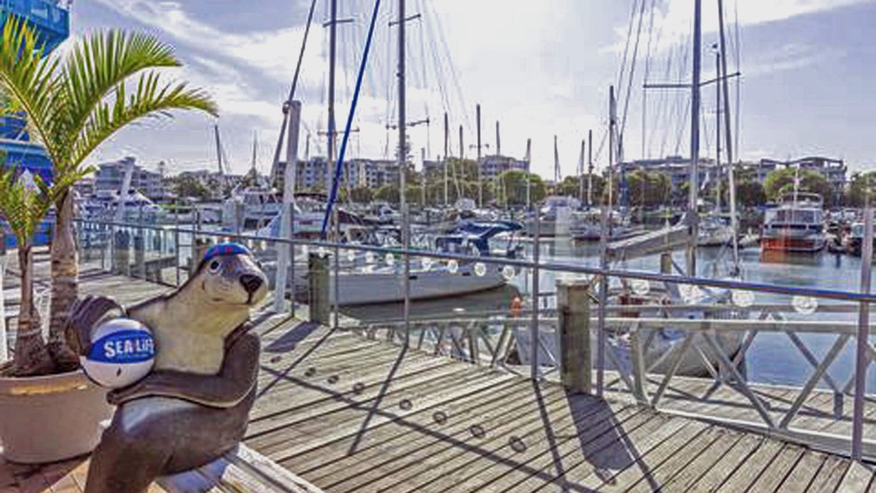 Photo of Others in Mooloolaba