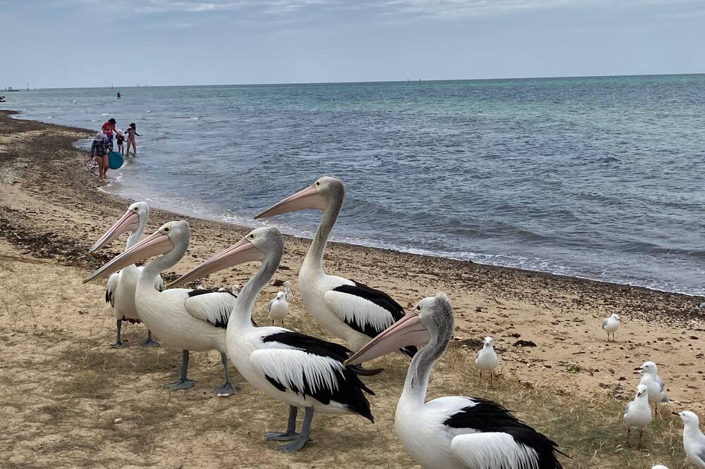 Photo of Others in St Leonards
