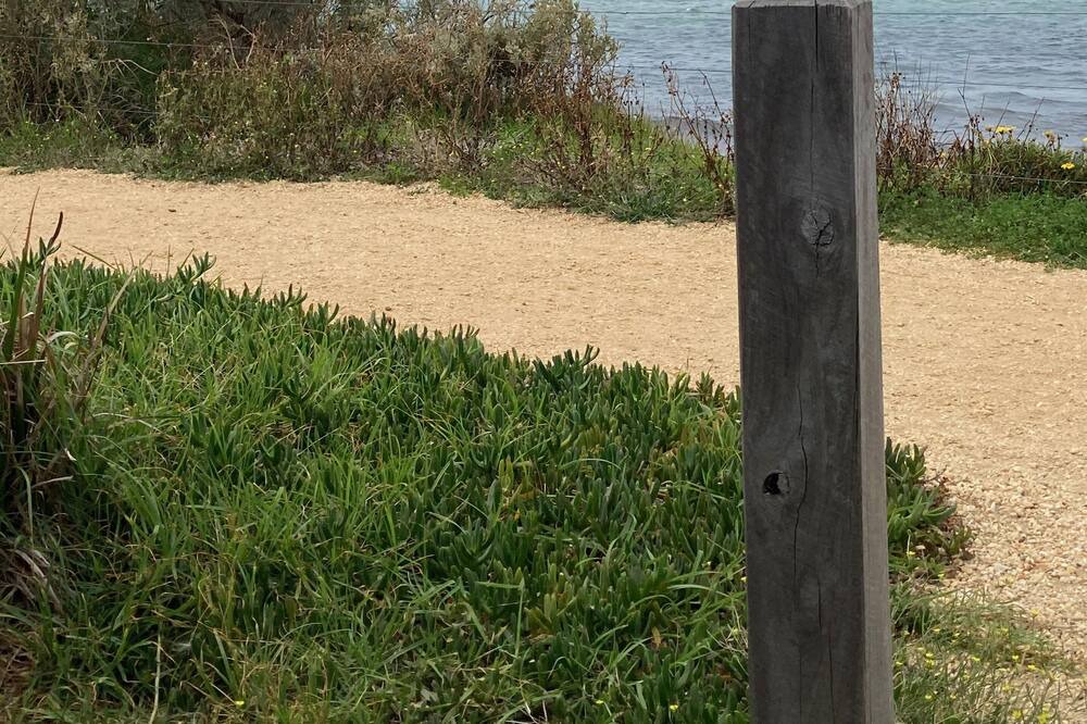 Photo of Others in St Leonards