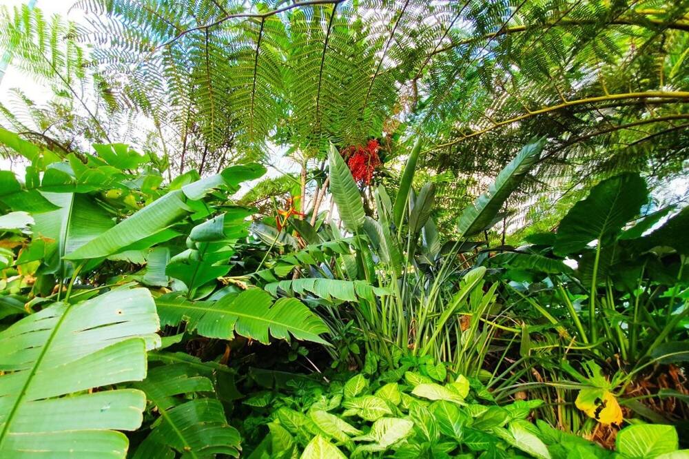 Photo of Outdoor in Newstead