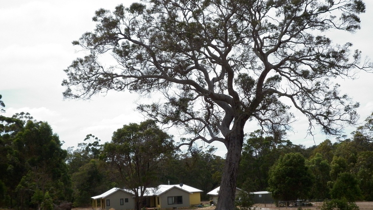 Photo of Outdoor in Porongurup