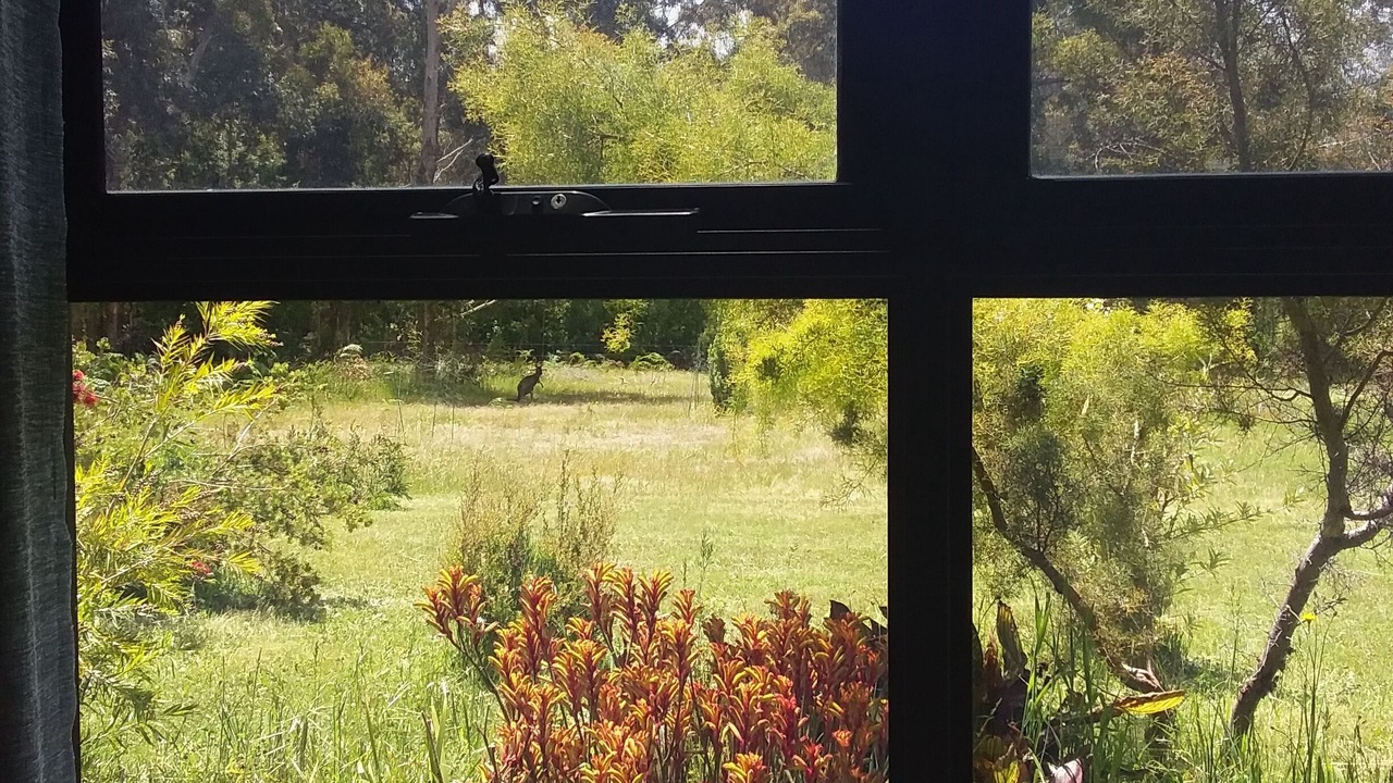 Photo of Others in Porongurup