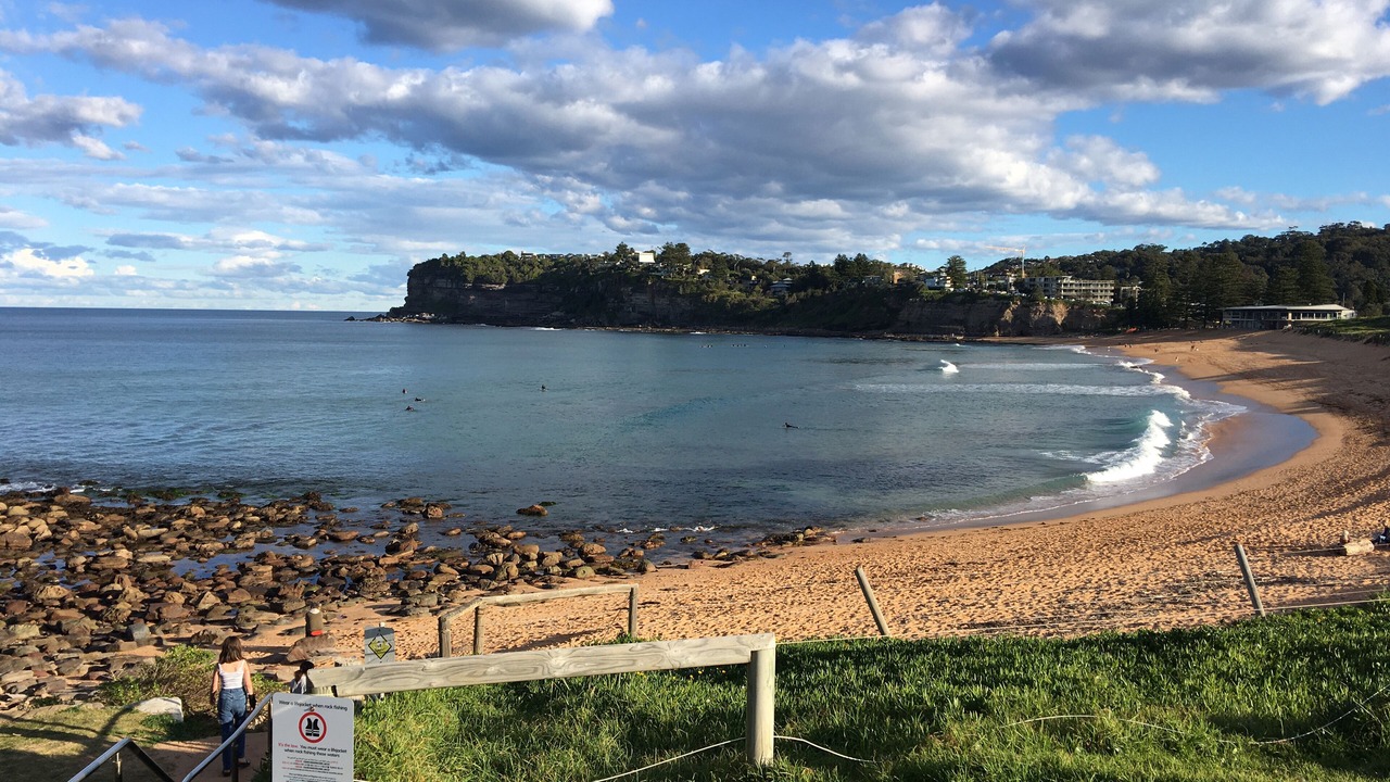 Photo of Others in Avalon Beach