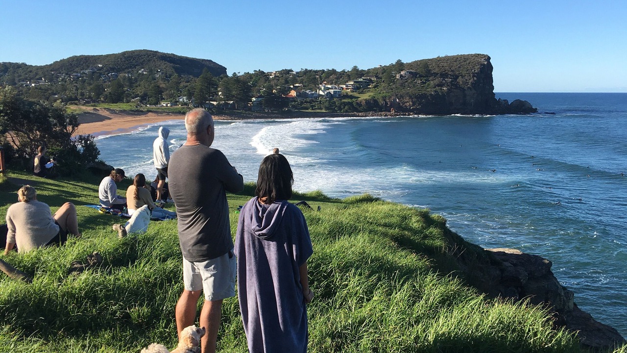 Photo of Others in Avalon Beach