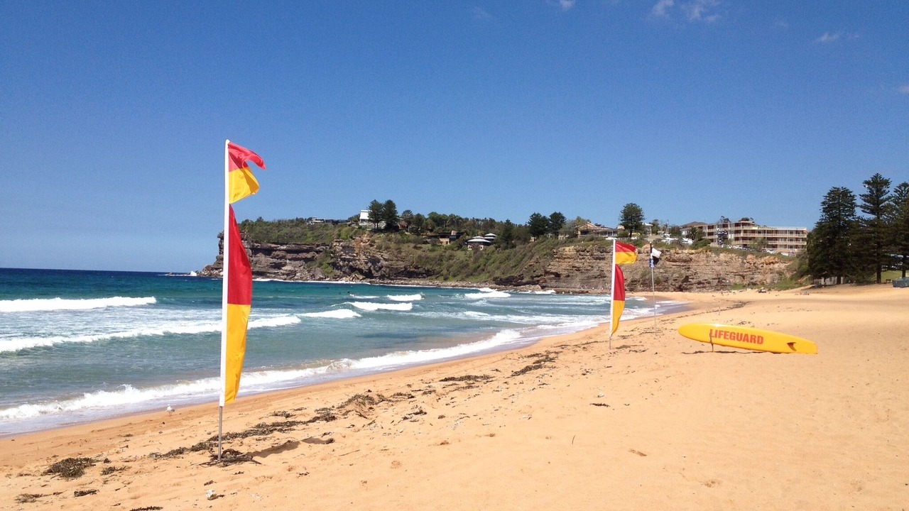 Photo of Others in Avalon Beach