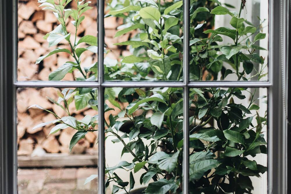 Photo of Others in Daylesford