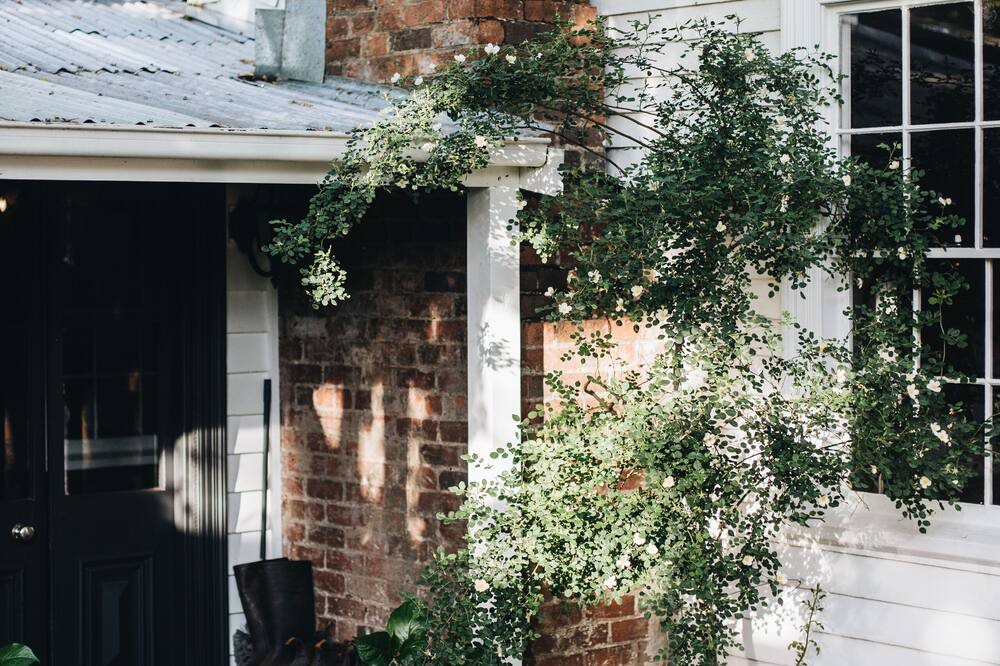 Photo of Outdoor in Daylesford