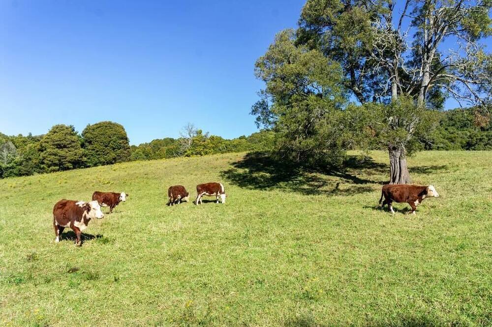 Photo of Others in Robertson