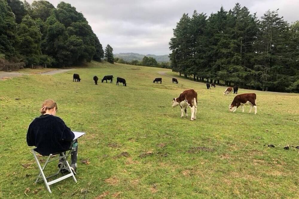 Photo of Others in Robertson