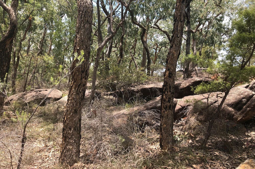 Photo of Outdoor in South Maroota