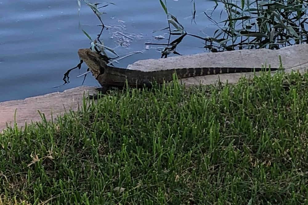 Photo of Outdoor in South Maroota