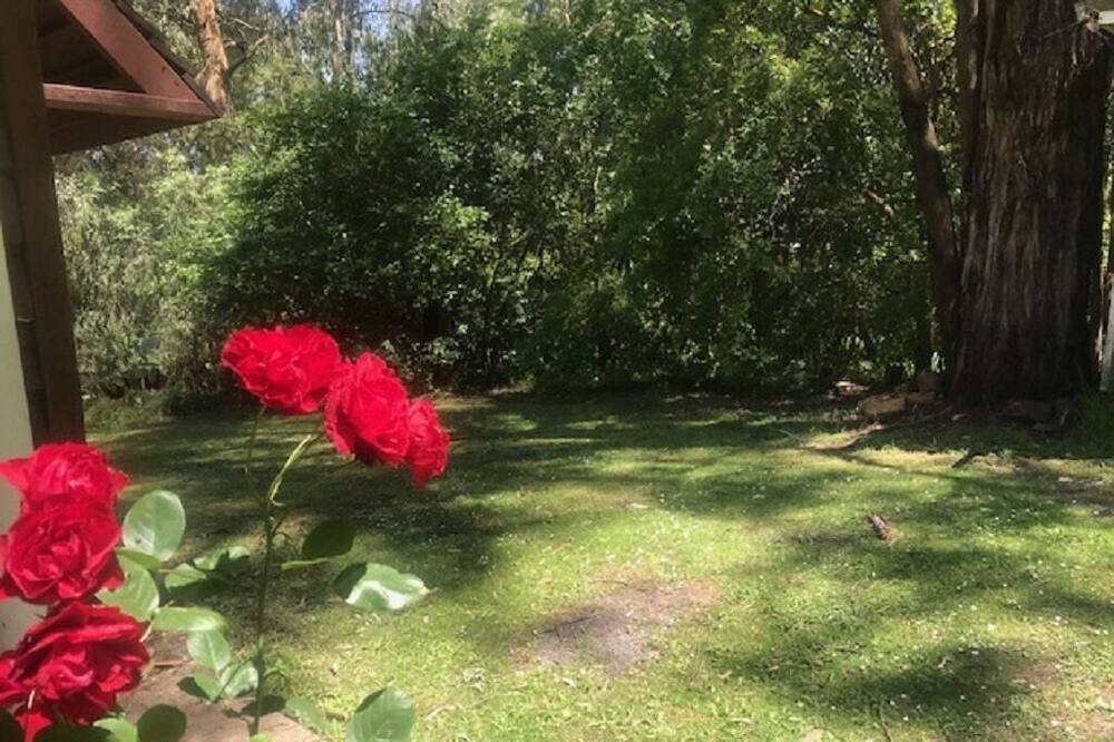 Photo of Outdoor in Yarra Junction