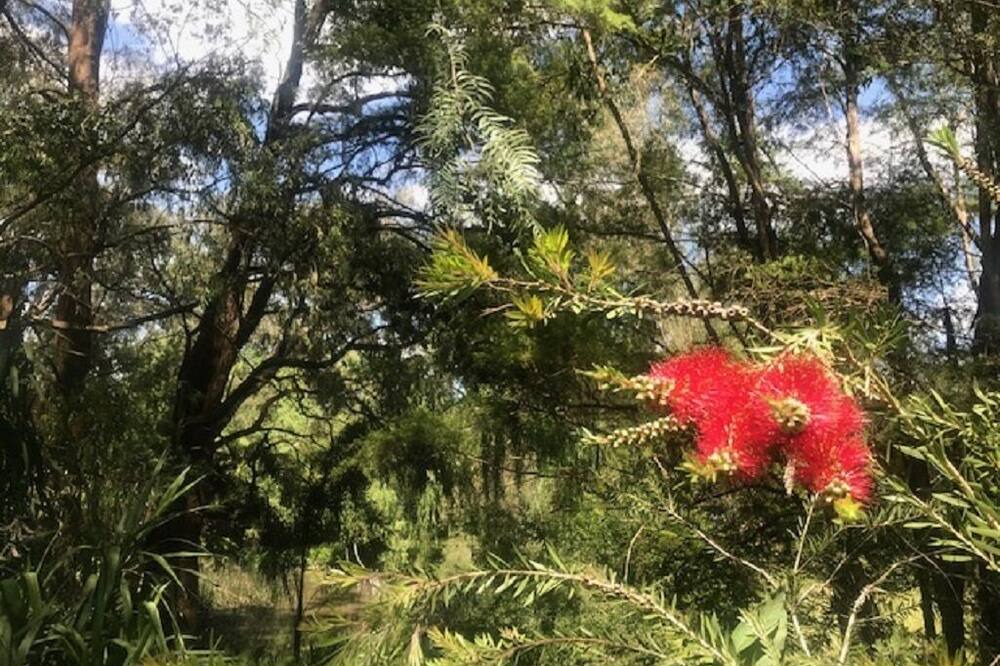 Photo of Outdoor in Yarra Junction